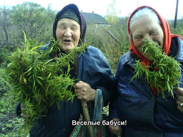Веселые бабуси